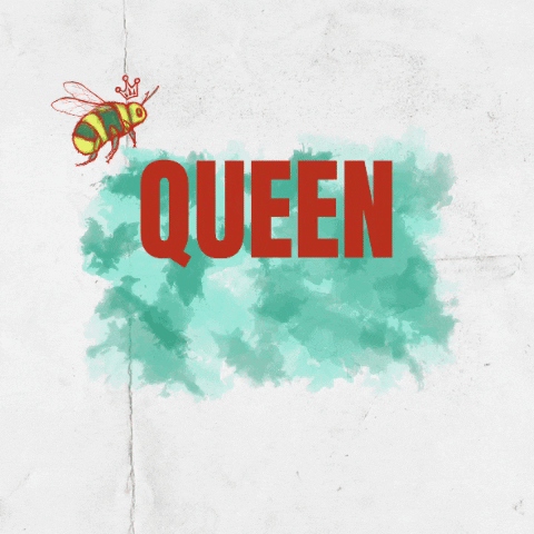 Queen Bee GIF by Avallen Spirits