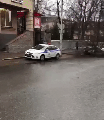 nizamov121090 giphyupload GIF