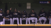 mil GIF by MLB