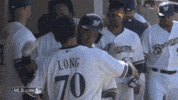 mil GIF by MLB