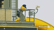 mil GIF by MLB