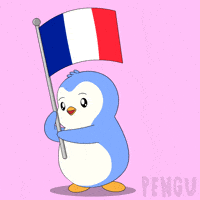 France Flag GIF by Pudgy Penguins