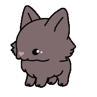 Dog Schipperke Sticker