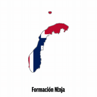 Norway Flag No GIF by Formación Ninja