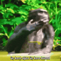 GIF by Giffffr