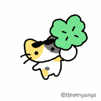Cat Kitty GIF