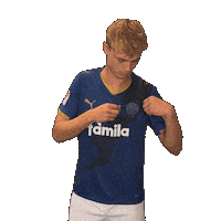 2 Bundesliga Football Sticker by Holstein Kiel