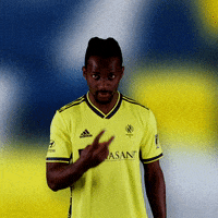 Major League Soccer Football GIF by Nashville SC