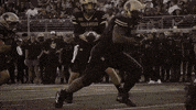 Sport Bobcats GIF by Texas State Football