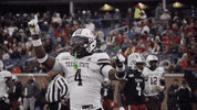 Sport Bobcats GIF by Texas State Football