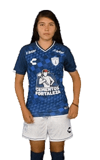 Liga Mx Cf Pachuca Sticker by Club Pachuca Tuzos