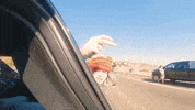 Elevate GIF by 347aidan