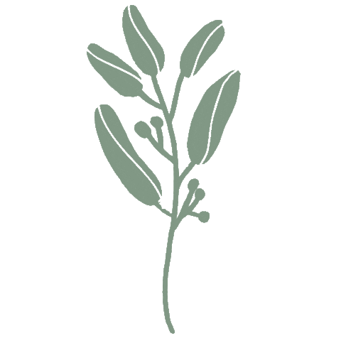 Flower Spring Sticker