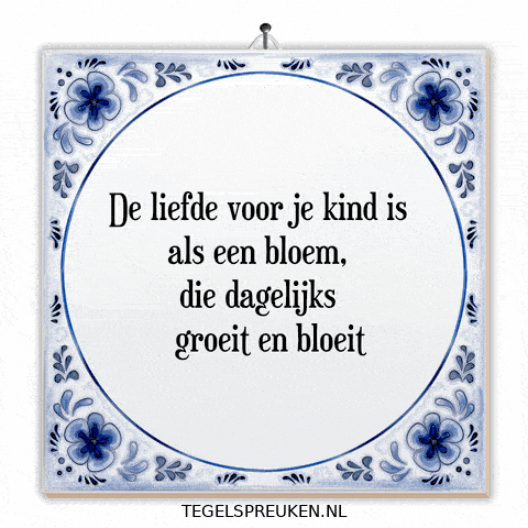 Humor Nl GIF by Tegelspreuken.nl