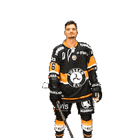 Hockey Zelenka Sticker by EV Füssen