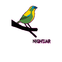 Bird Brazil Sticker by Nightjar Coffee