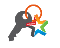 Keys Sticker by ProfessionalsPlatinum