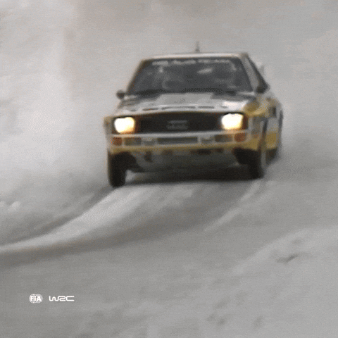 Rally Sweden Motorsport GIF by FIA World Rally Championship