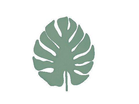 Ilustdrg giphyupload nature plant leaf Sticker