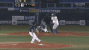 두산베어스 GIF