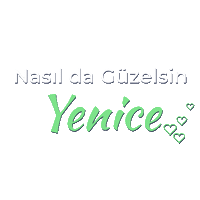 Turkey Kaz Dağları Sticker by mertsayilgan