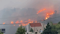 Wildfire Burns Homes in Athens Suburb