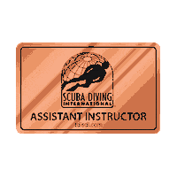 Logo Bronze Sticker by Scuba Diving International