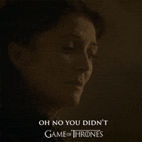 no you didnt red wedding GIF by Game of Thrones