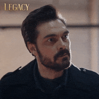 Legacy Emanet GIF by Eccho Rights