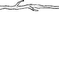 paperboyo carnabylondon paperboyo Sticker