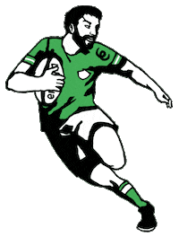 Ireland Rugby Sticker by Energia