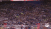 Detroit Lions Football GIF by NFL