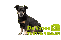Dog Puppy Sticker by De Vries XL