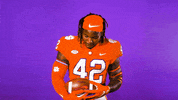 All In Baby GIF by Clemson Tigers