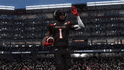 Video Game Easports GIF by Texas Tech Football