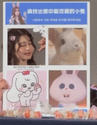 Long Hair Bunny GIF