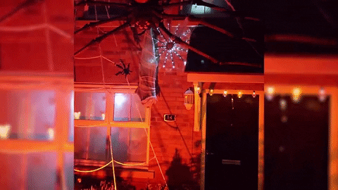 GIF by AtmosFX Digital Decorations