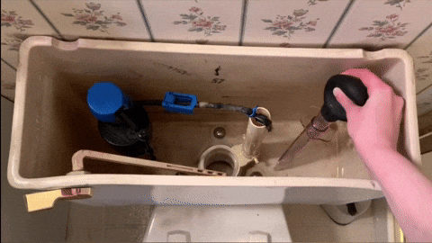 asmresseio giphyupload GIF