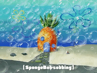season 4 episode 3 GIF by SpongeBob SquarePants