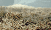 Stop Motion Animation GIF by Xbox