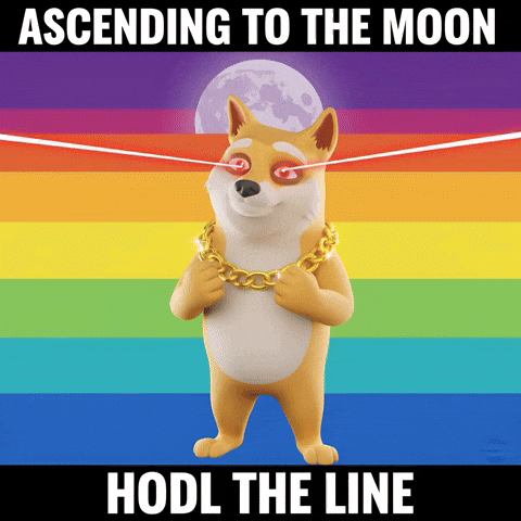 GIF by Doge Pound