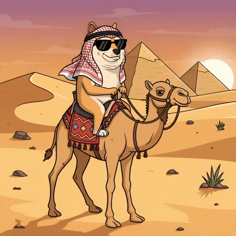 Shiba Inu Illustration GIF by Doge Pound