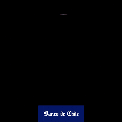 Lollapalooza Lollacl GIF by Banco de  Chile