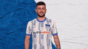 Bundesliga Berlin GIF by Hertha BSC