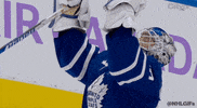 Ice Hockey Love GIF by NHL