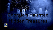GIF by WSBTV