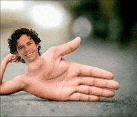 Daniel Nonsense GIF