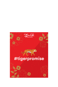 Chinese New Year Tiger Sticker by Pantheracats