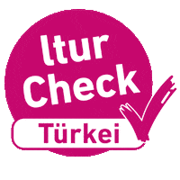Holiday Check Sticker by ltur