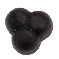 VencoNL drop venco venco drop drop venco Sticker